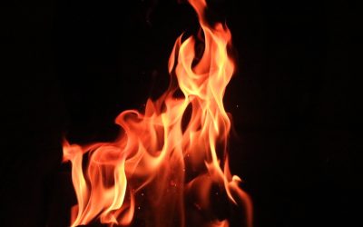 3 Ways Hunger Games Engages Readers with Foreshadowing
