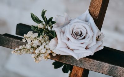 One White Rose
