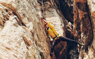 10 Methods for Surviving the Writing Slog