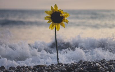 Lost Thoughts