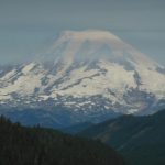 Profile picture of Emily-Joy