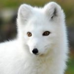 Profile picture of S